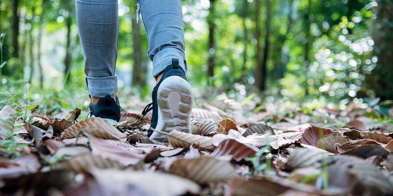 wandelen in bos